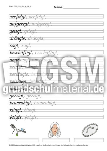 DSS_2S_Bu_gt_Nr_01.pdf